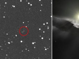 The newest mysterious object is similar to one identified in July called Oumuamua (pictured in a rendering to the left). Researchers say the most recent visitor, however, is observable for much longer, likely staying in our solar system for up to a year.