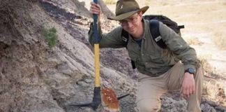 Paleontologist Scott Persons, pictured alongside the partially-uncovered skull