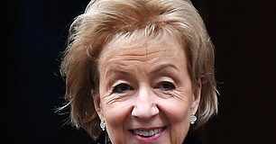 Business Secretary Andrea Leadsom has ordered the CMA to probe an offer to buy British firm Mettis Aerospace Limited