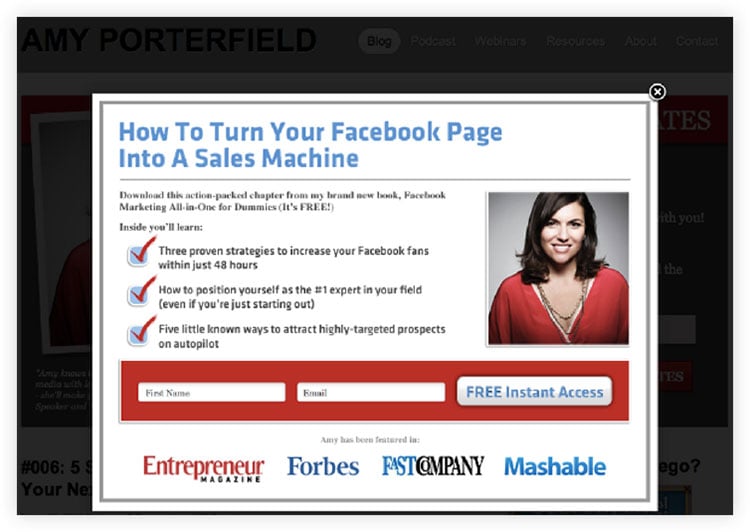 Example of a lead magnet landing page